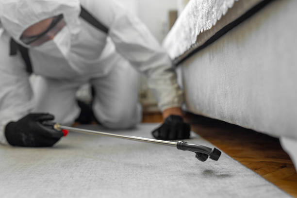 Professional Termite Control technician working in Wilson, AR