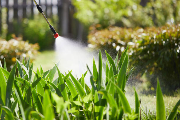 24/7 Emergency Termite Control experts in Wilson, AR